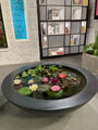 Water lily pot Ø154x34
