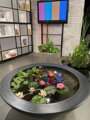 Water lily pot Ø120x40