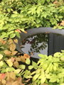 Mísa z lakované oceli na vodu 80 x 21cm - Antracit